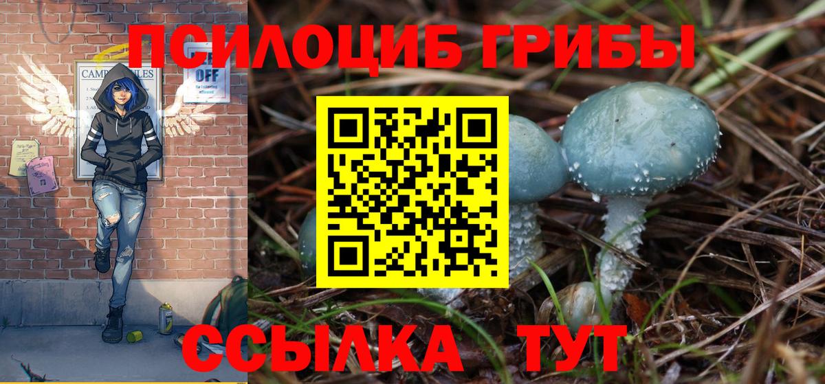 Новоалександровск  Псилоцибиновые грибы Psilocybe  Вход с VPN 