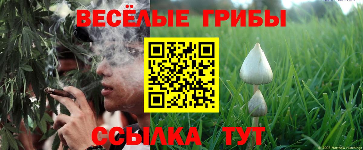 Псилоцибиновые грибы GOLDEN TEACHER Новоалександровск